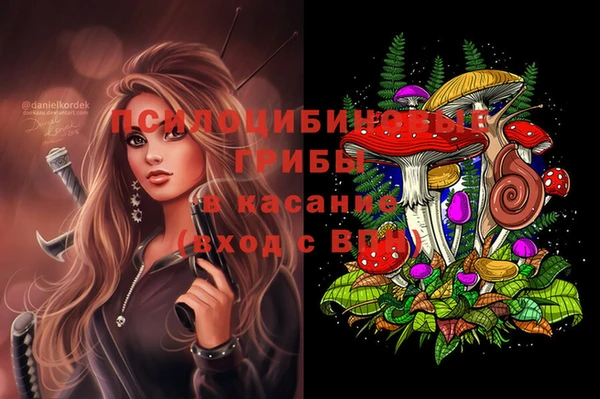 ГАЛЛЮЦИНОГЕННЫЕ ГРИБЫ Арсеньев