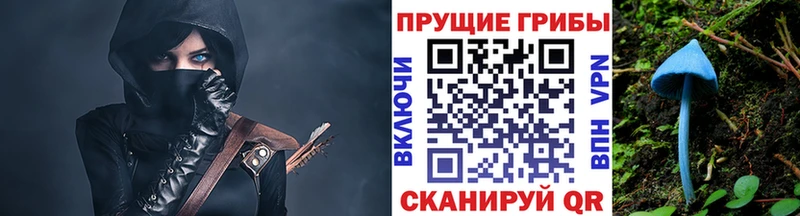 хочу   Зерноград  Галлюциногенные грибы мухоморы 