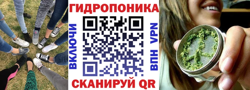 Бошки Шишки MAZAR  Зерноград 